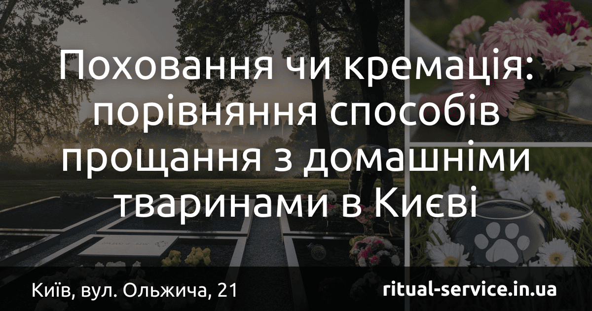Поховання чи кремація_ порівняння способів прощання з домашніми тваринами в Києві