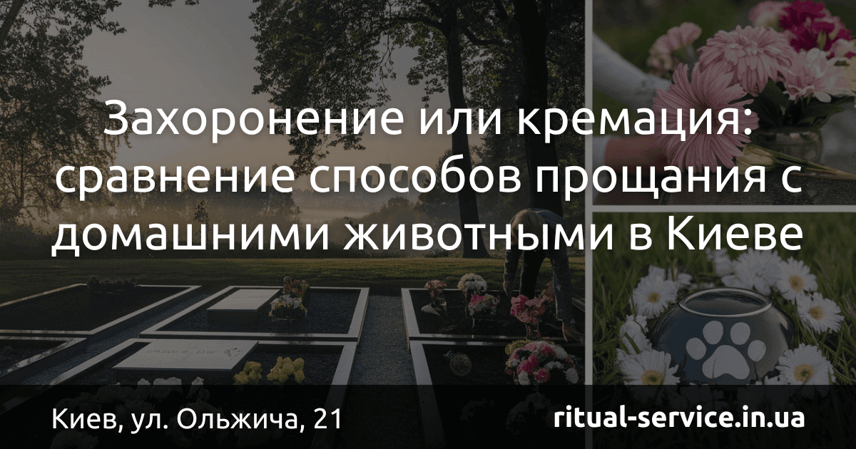 Захоронение или кремация_ сравнение способов прощания с домашними животными в Киеве