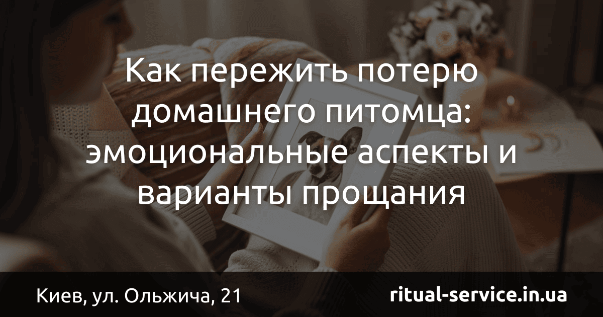 Как пережить потерю домашнего питомца_ эмоциональные аспекты и варианты прощания