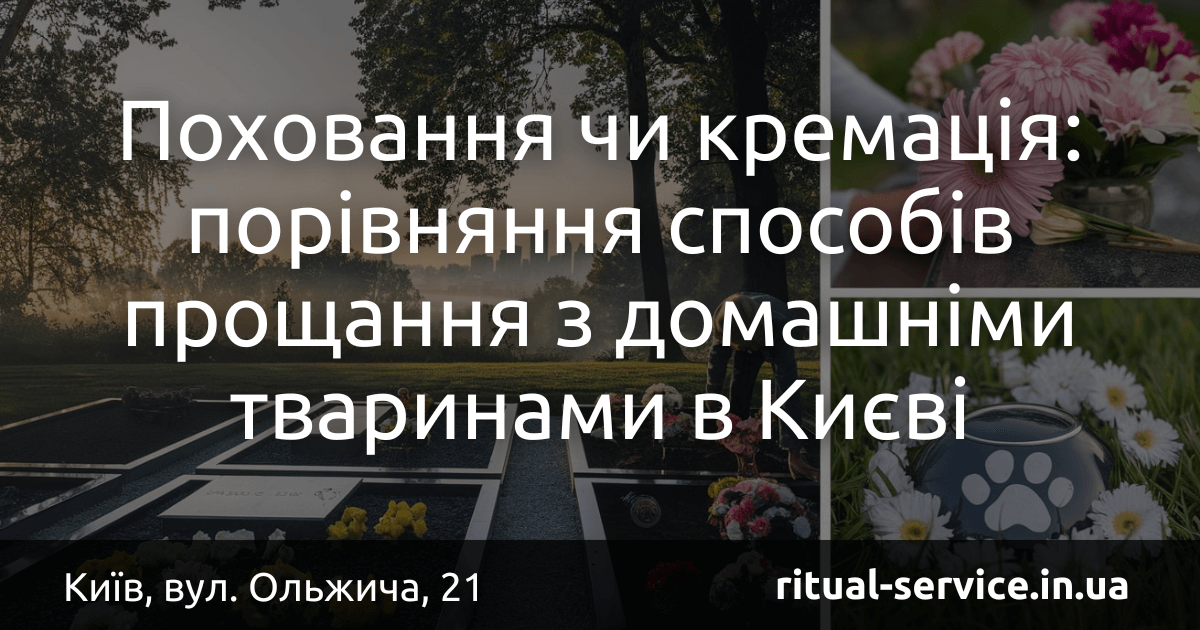 Поховання чи кремація_ порівняння способів прощання з домашніми тваринами в Києві