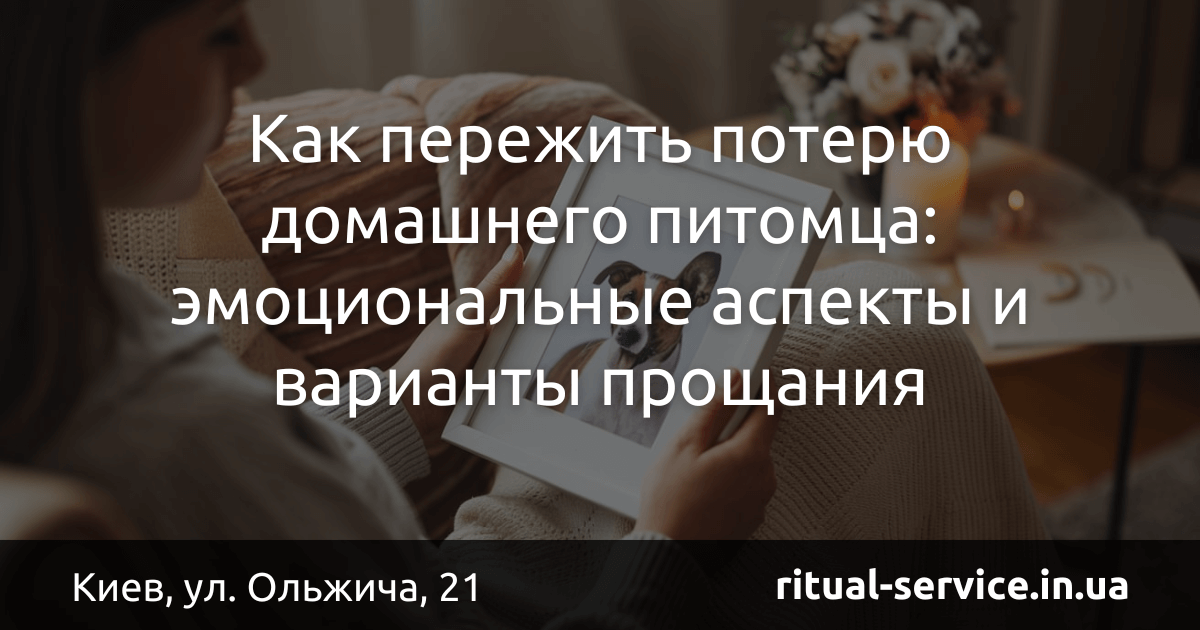 Как пережить потерю домашнего питомца_ эмоциональные аспекты и варианты прощания