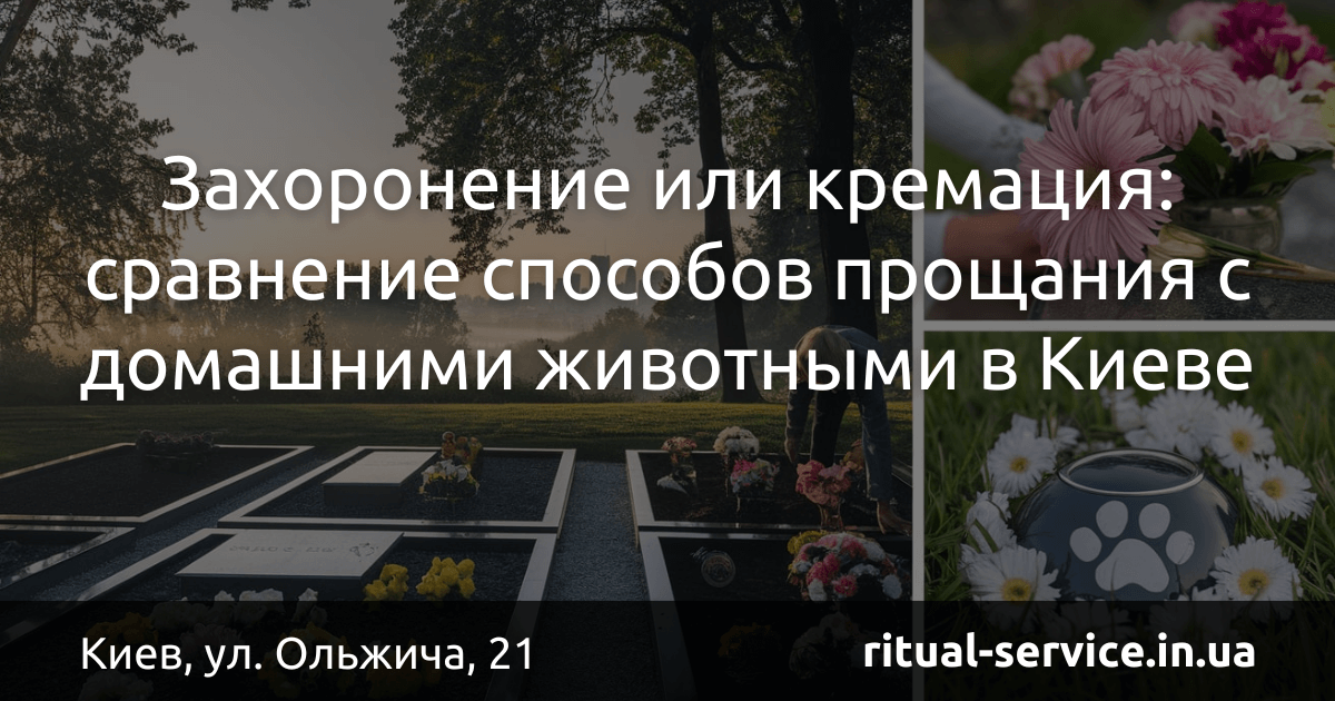 Захоронение или кремация_ сравнение способов прощания с домашними животными в Киеве